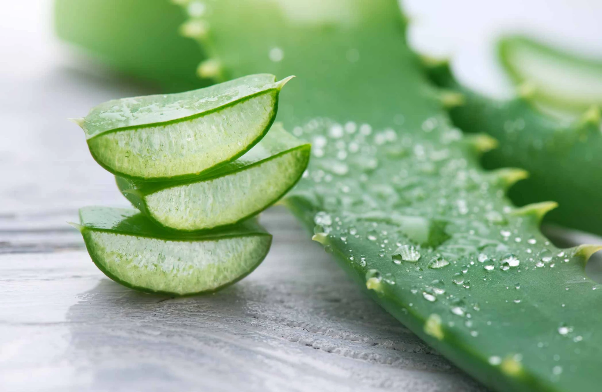 Sliced aloe vera leaf