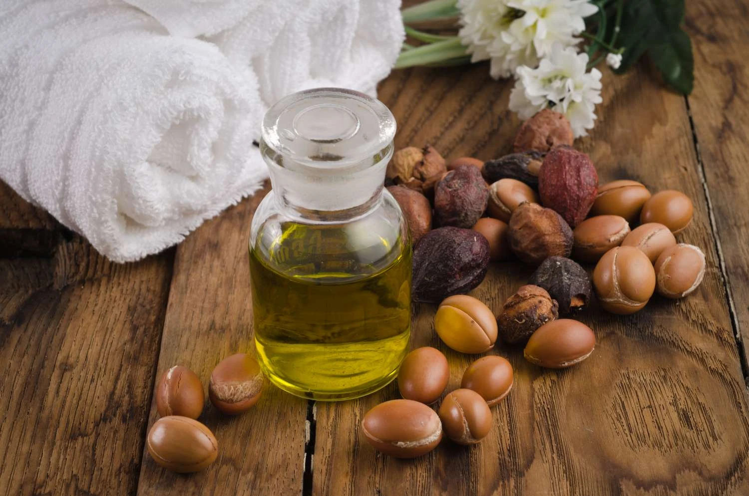 Argan oil bottle with argan nuts