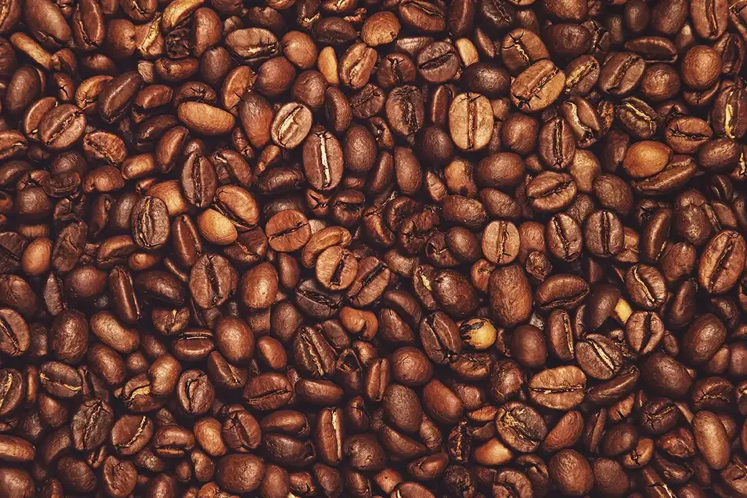 Roasted coffee beans, source of caffeine