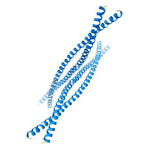 Keratin protein helical structure