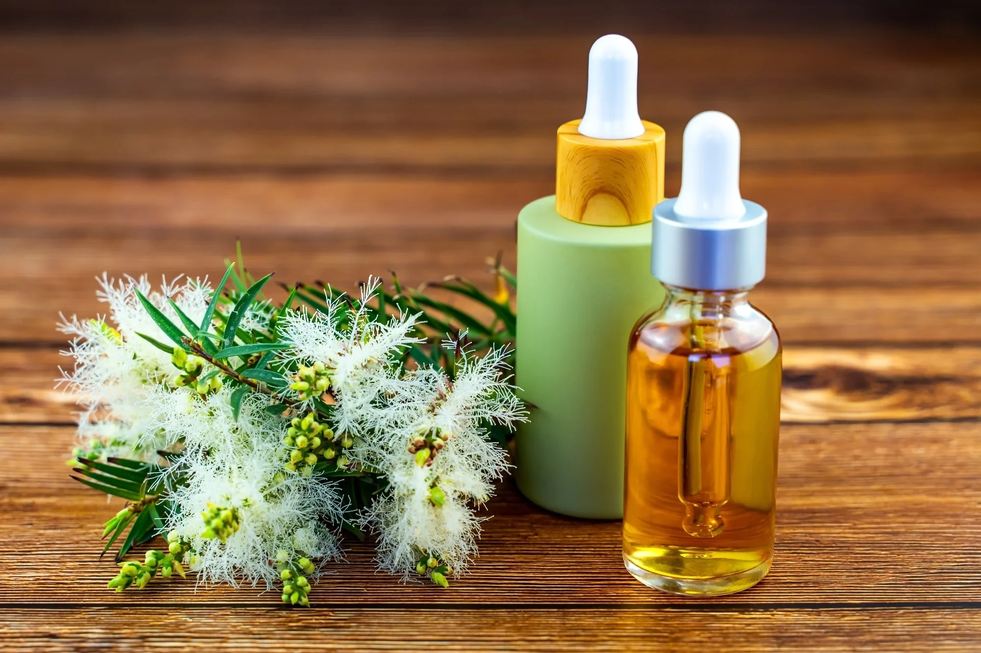 Tea tree oil bottles with tea tree flowers